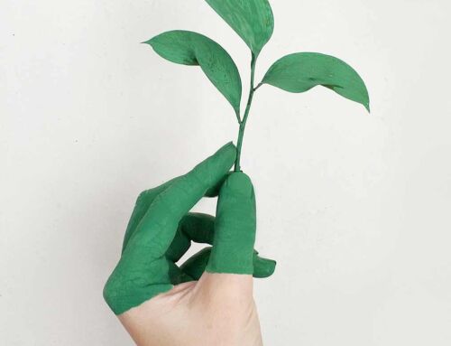 Ưu và nhược điểm của năng lượng tái tạo